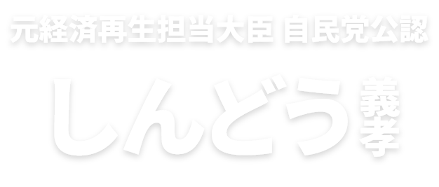 元経済再生担当大臣 自民党公認 しんどう義孝